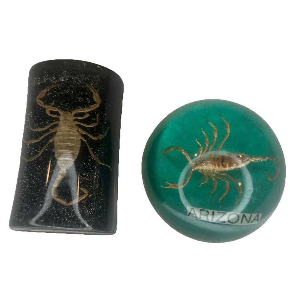 Encased Scorpion Insect Acrylic Resin Metallic Green Collectors Paperweight